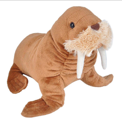 Mini Walrus
