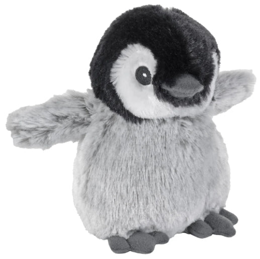 Hatchling Penguin