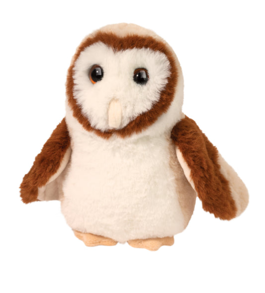 Rafter Barn Owl