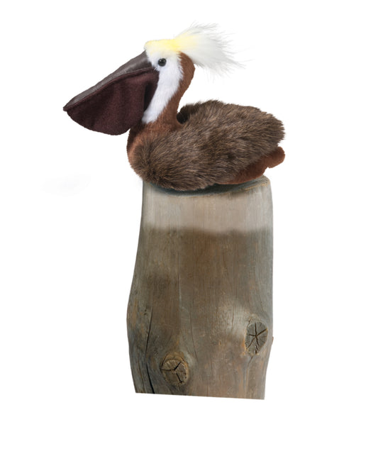 Beachy Pelican