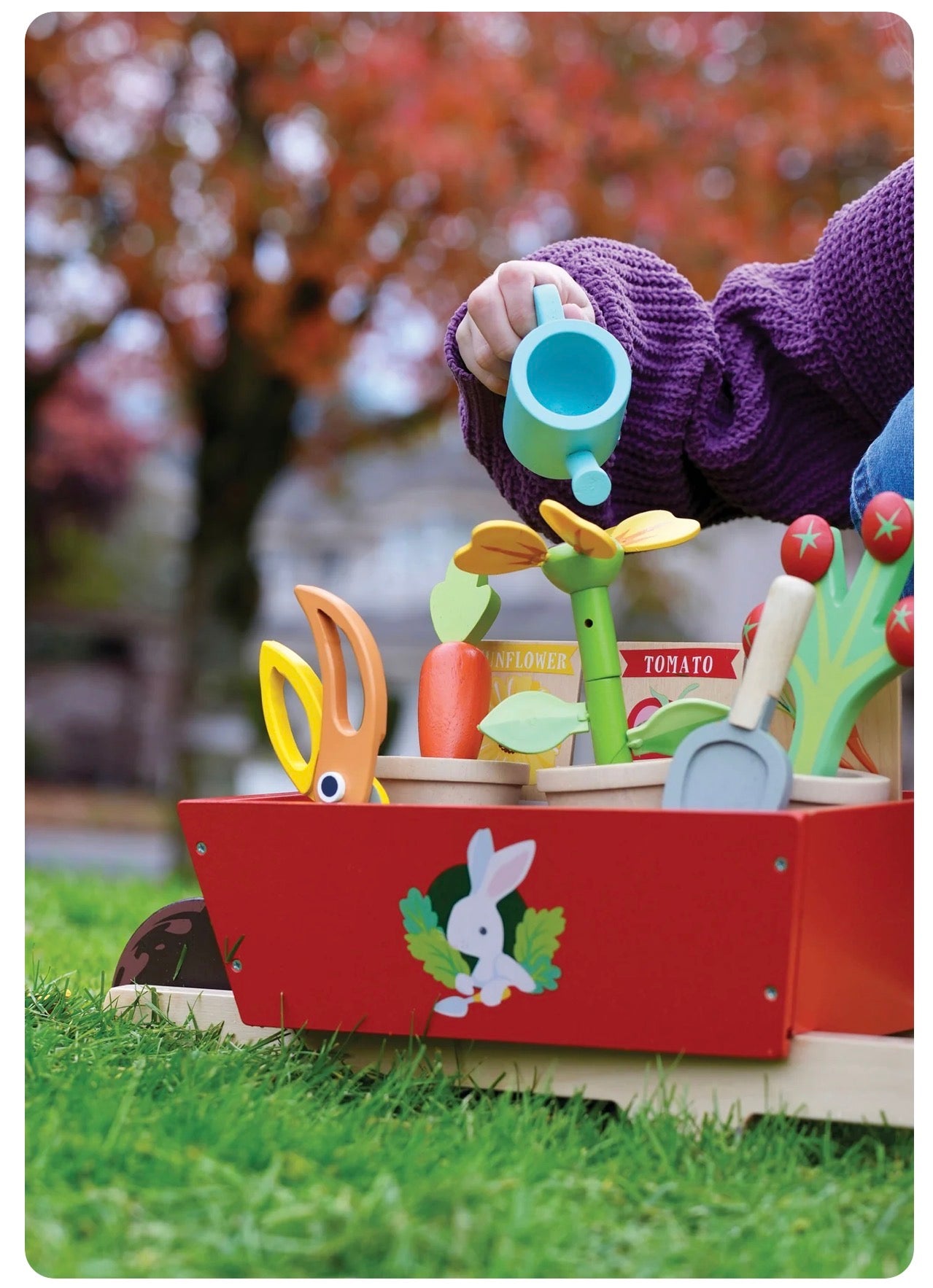 Garden Wheelbarrow Set