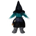 Dinky Dinkum Winnie Witch