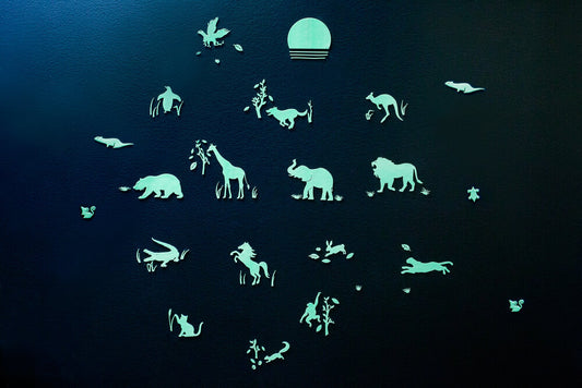 Animal Safari