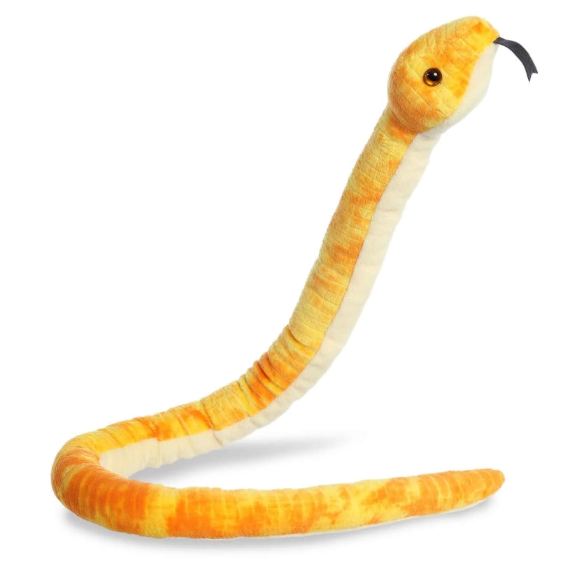 50" Mango Corn Snake
