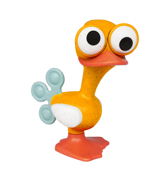 Crazy Eyed Bird
