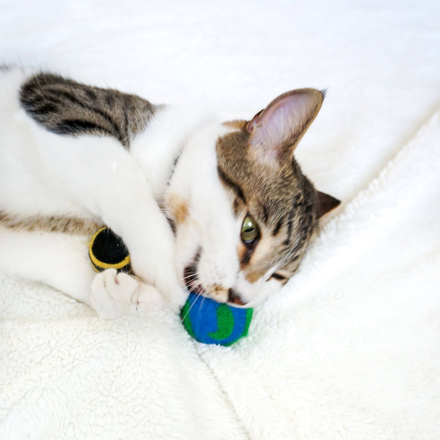 Friendsheep - Cats For The Planet Eco Toys - Set of 3