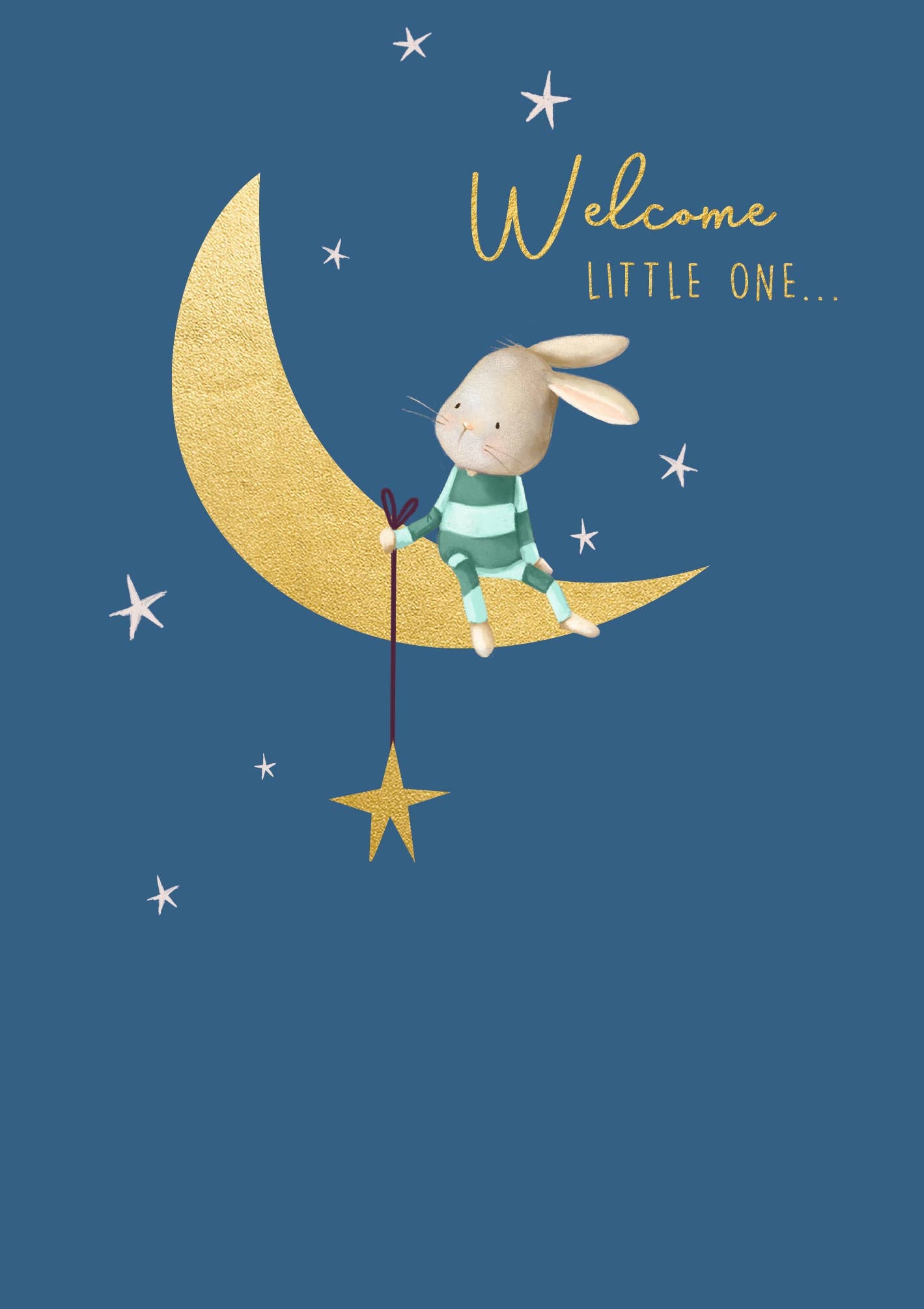 NEW BABY BOY BUNNY GREETING CARD PAPER ROSE