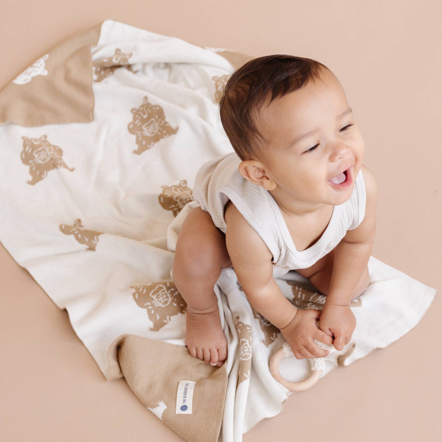 Blanket Honey Bear Organic Cotton Baby Decor Gift Spring: Brown