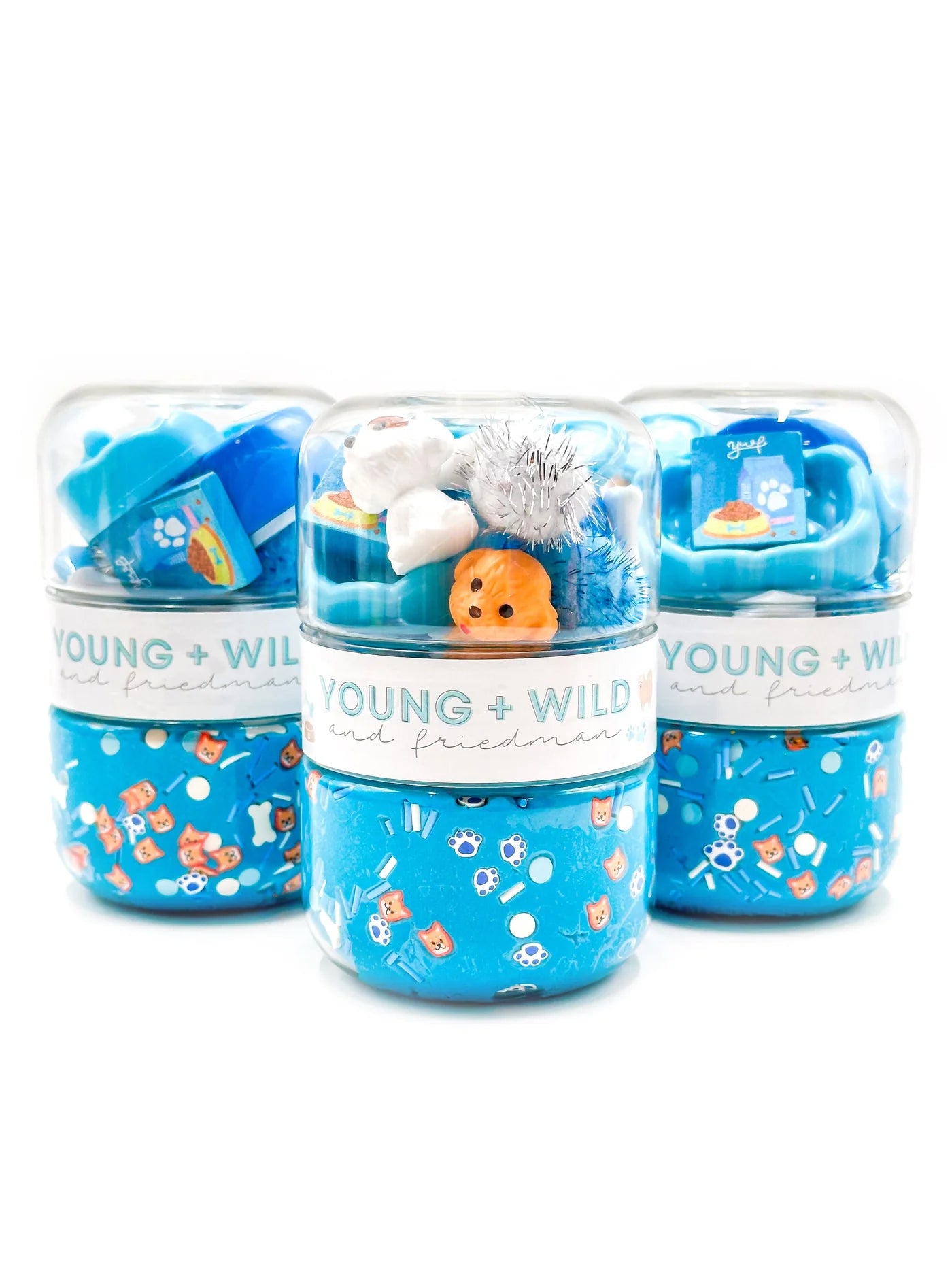 Grab and Go Dough Jar: Blue Pet Shop