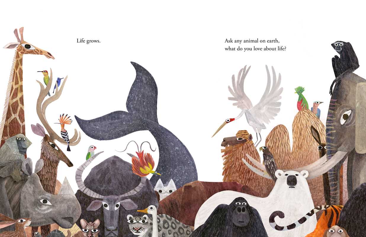 Life by Cynthia Rylant