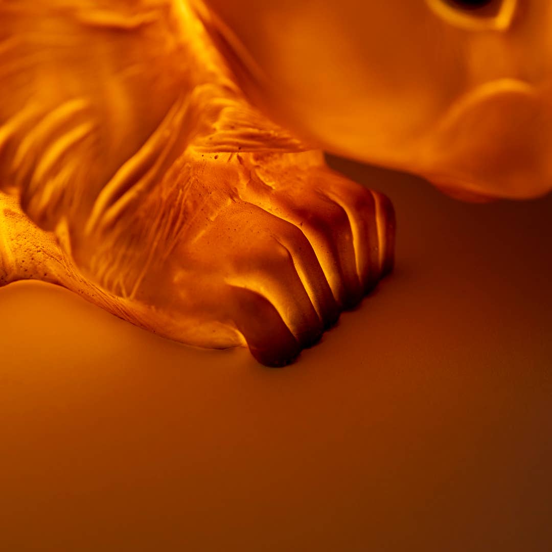 Squirrel Lamp w/ Plug