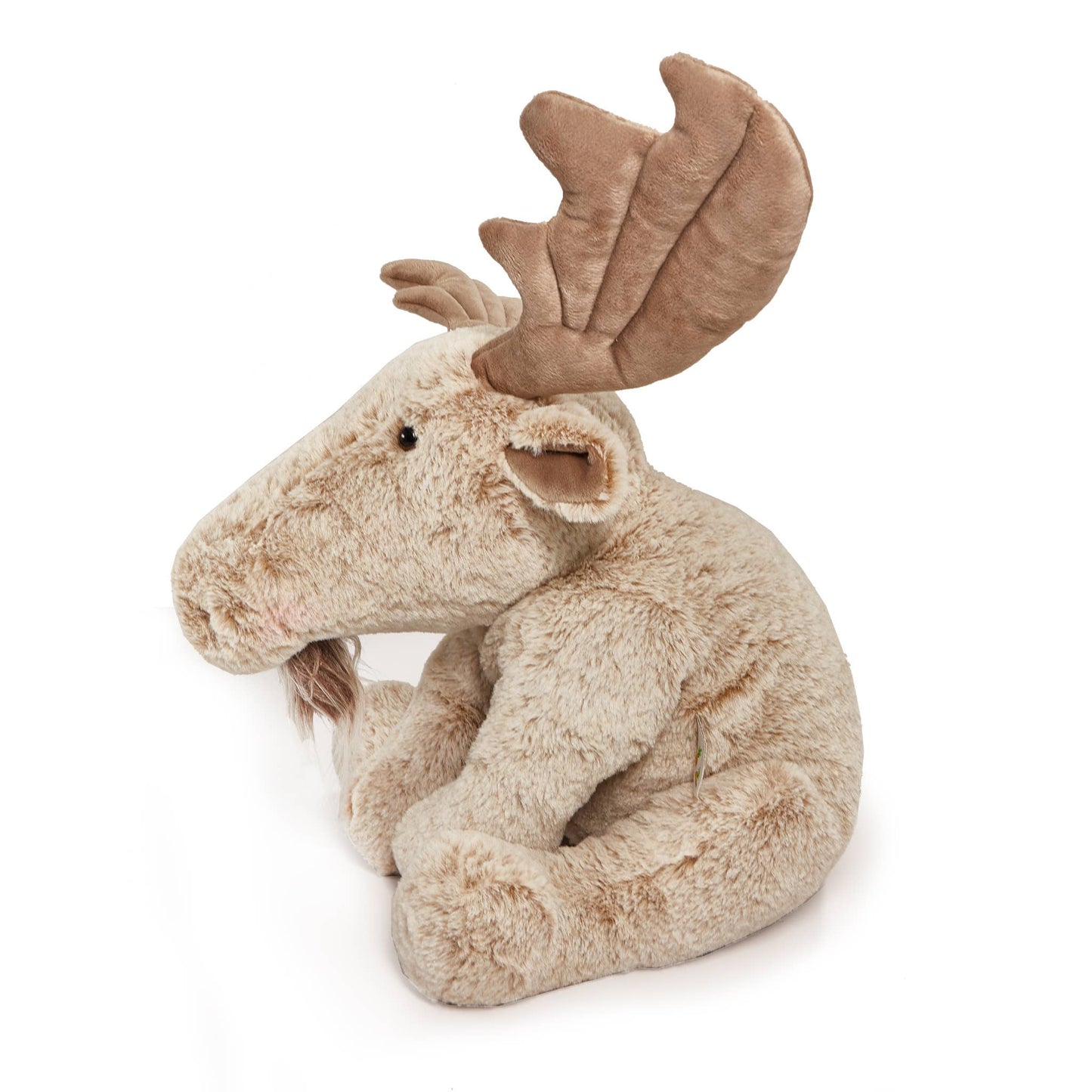Great Big Bruce the Moose
