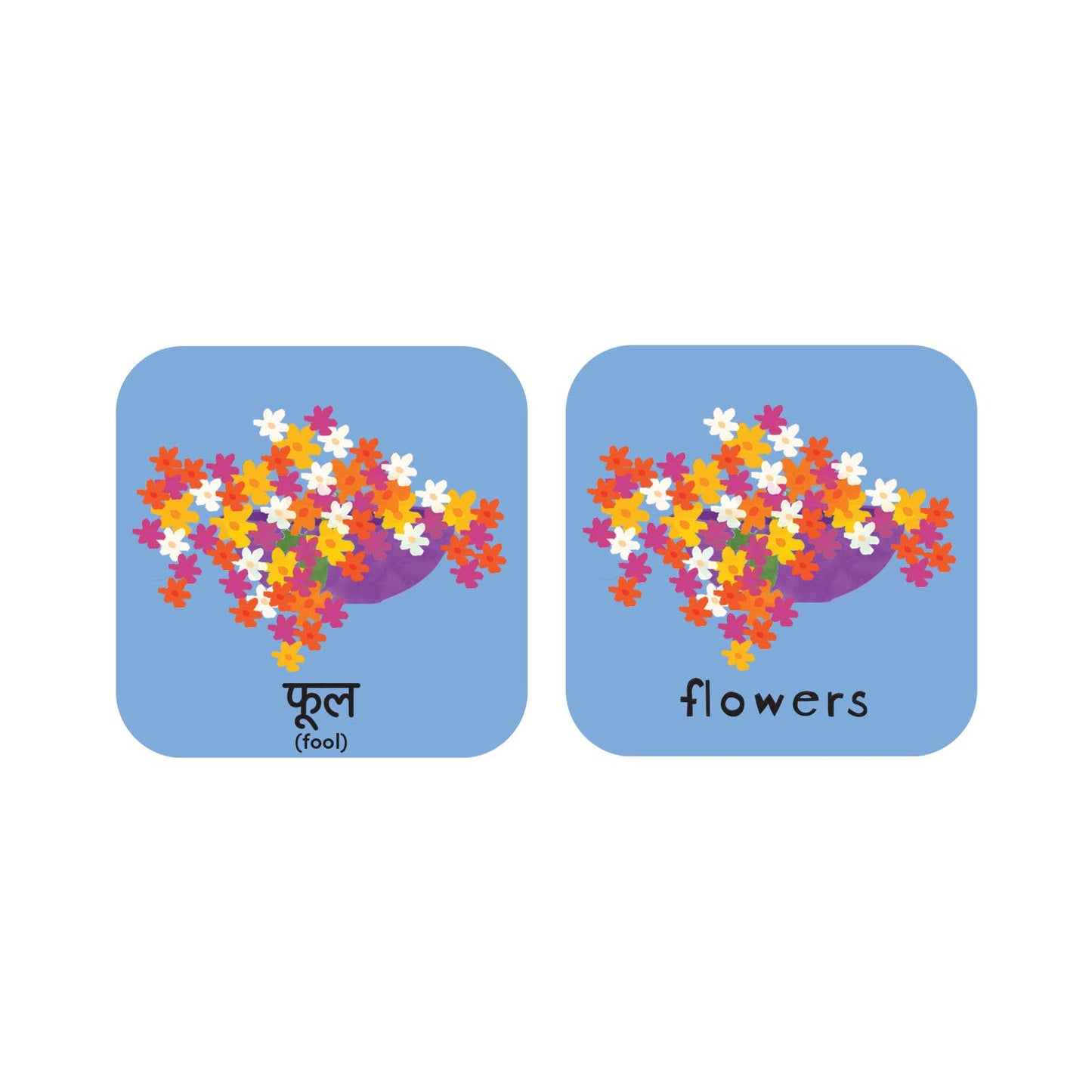 Minilingo Hindi/English Bilingual Flashcards for Kids