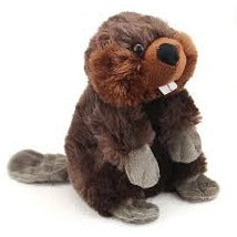 Beaver