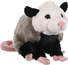 Opossum