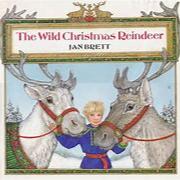 Wild Christmas Reindeer