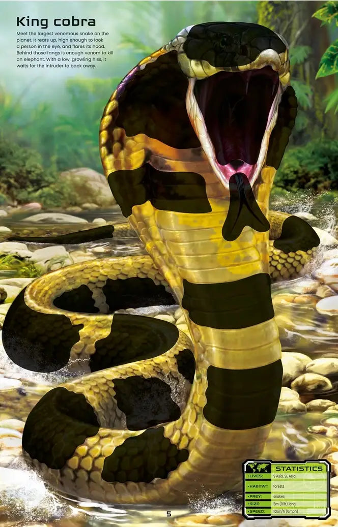 Build Your Own Deadly Animals : Usborne