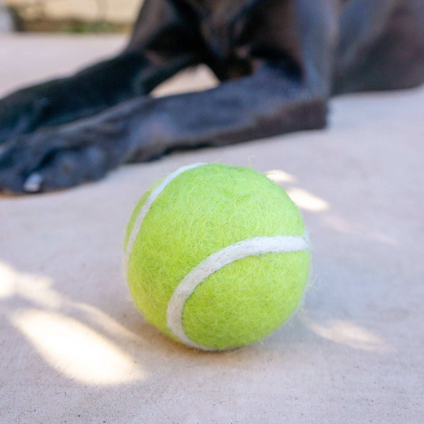 Friendsheep - Pet Toy Tennis Wool Ball - Set of 2
