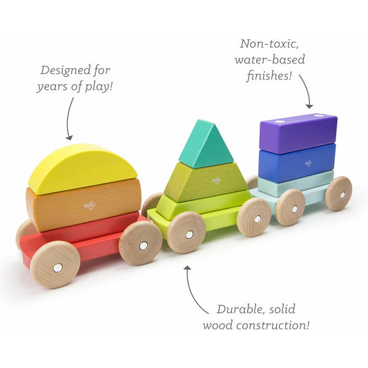 Tegu Shape Train