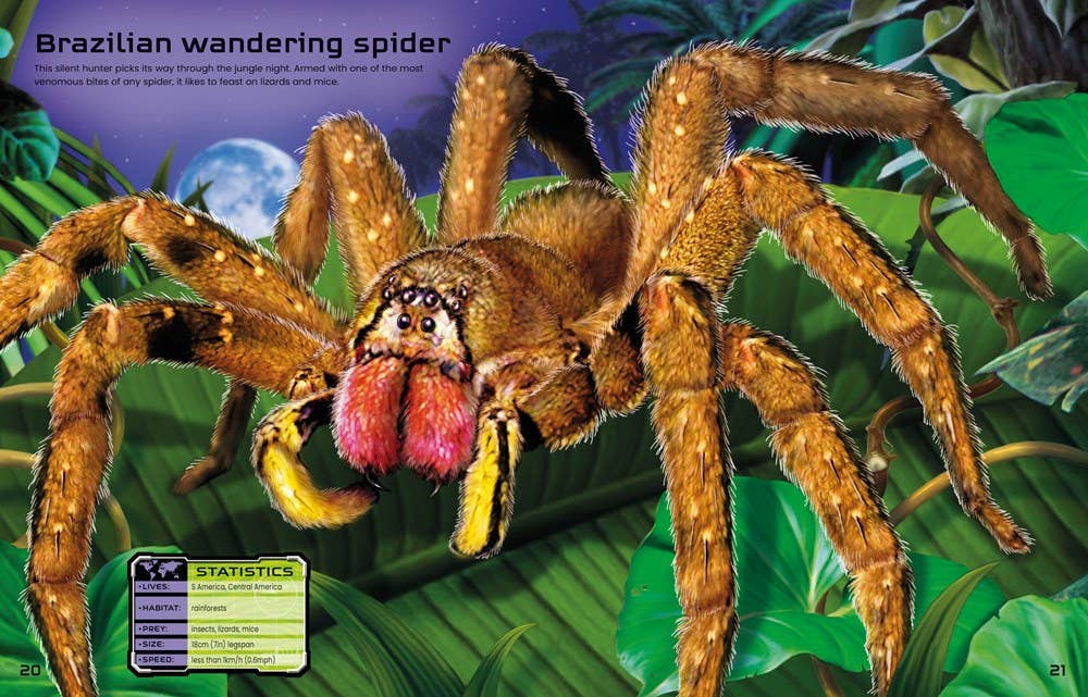 Build Your Own Deadly Animals : Usborne