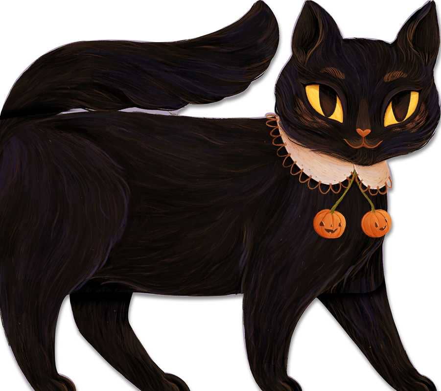 One Black Cat by Robie Rogge: Board Books; 12 pages / English