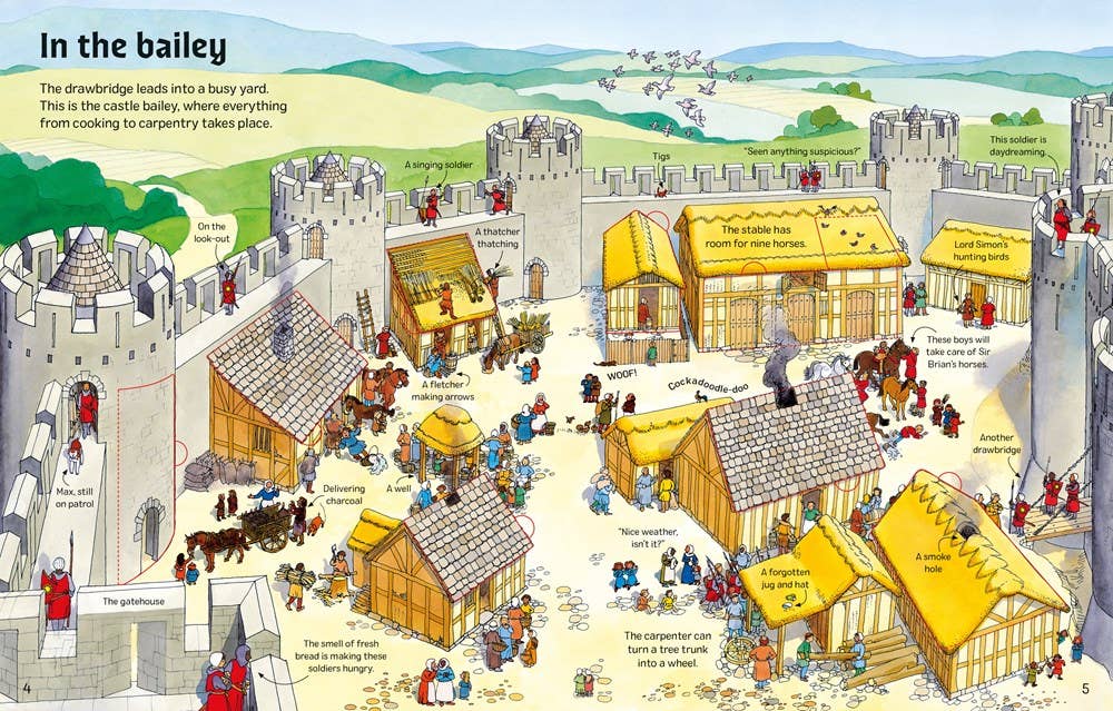 See Inside Castles : Usborne