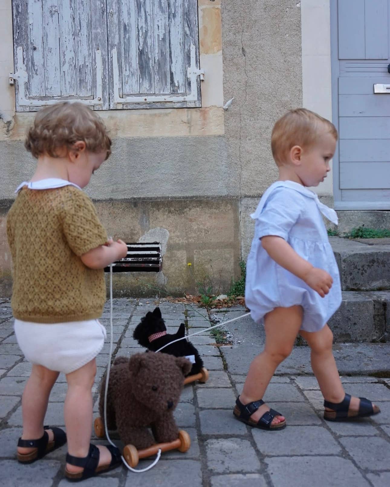 Pull-Along Raoul