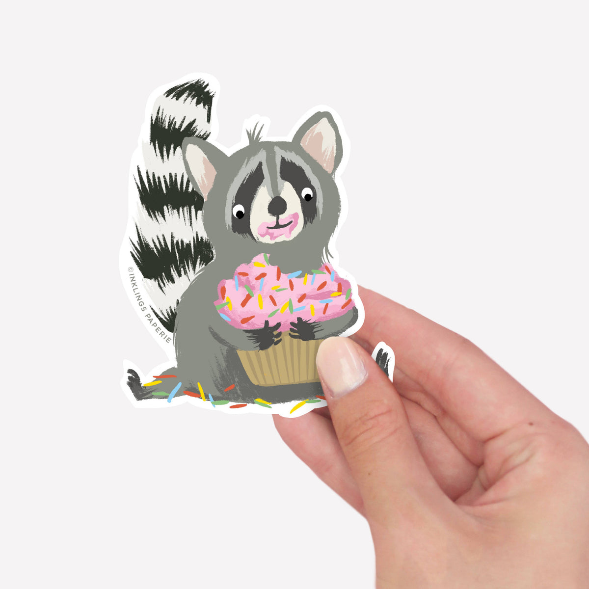 Shoe Rack Raccoon Sticker Vinyl Sticker - Raccoon – Pebbles Toys & Gifts
