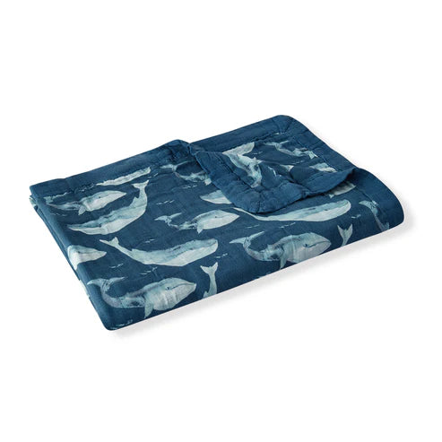 Blue Whale Collection