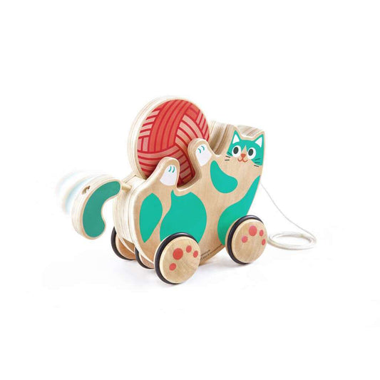 Roll and Rattle Kitten
