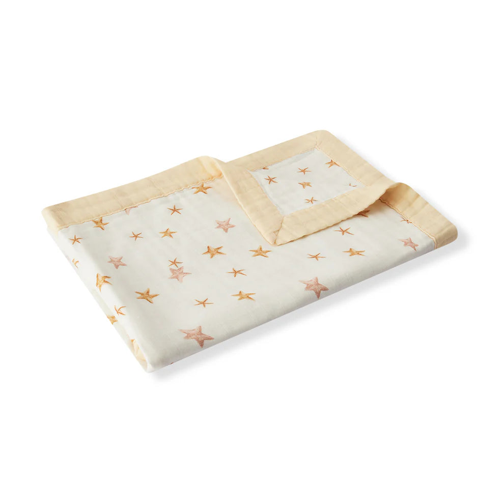 Starfish Dreams Nursery Story