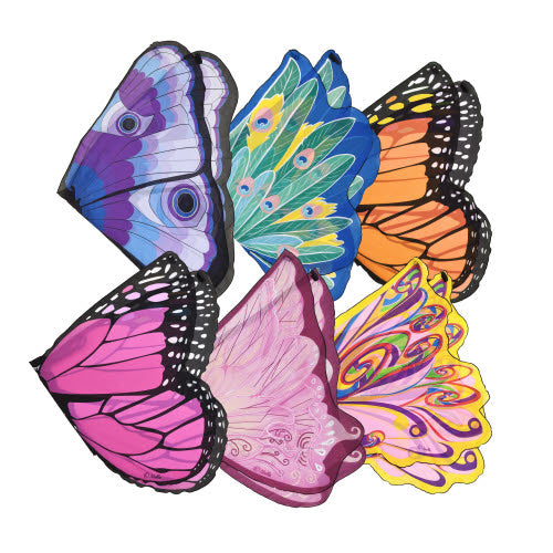 Butterfly Wings Assortment