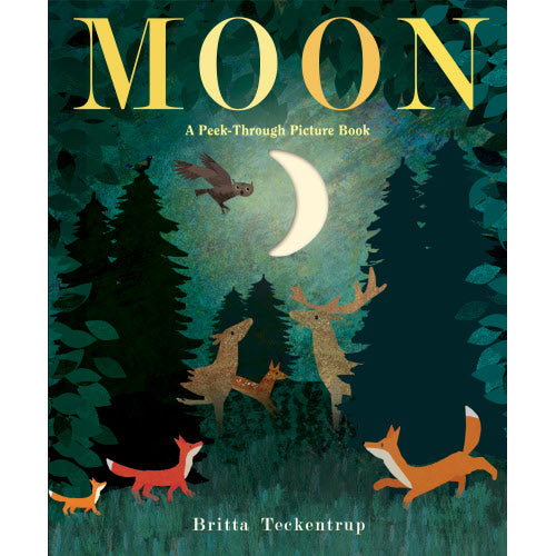 Moon A Peek Through Picture Book