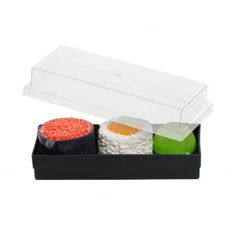 Foodie fidget - Sushi Tray