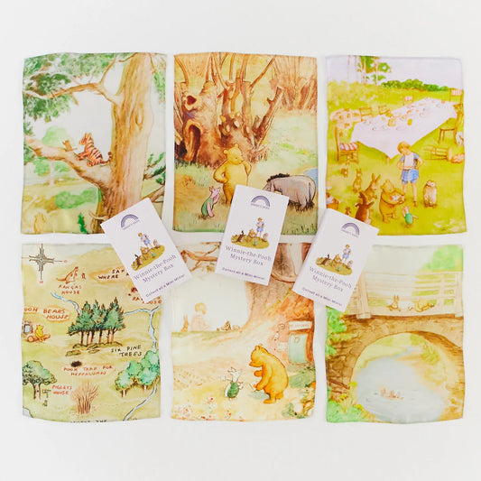 Winnie The Pooh Playsilks Blind Box